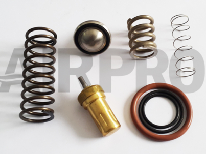 Kit reparo válvula termostática + pressão mínima similar 2901109500