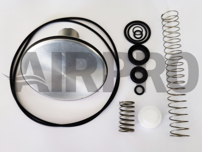 Kit de reparo da válvula de admissão similar 021.1060-0