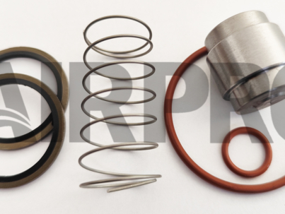 Kit de reparo da válvula de retenção de óleo similar 2200902255